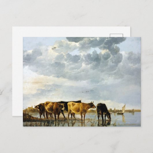 Aelbert Cuyp Koe in een rivier Briefkaart (Voorkant / Achterkant)
