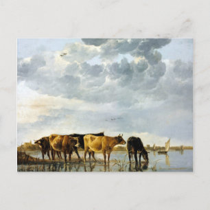 Aelbert Cuyp Koe in een rivier Briefkaart
