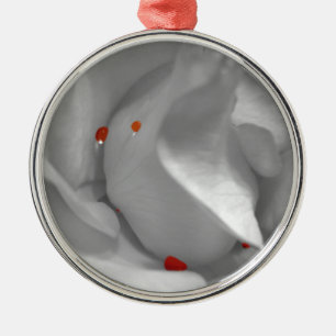 Aeoliaans waterverfornament metalen ornament