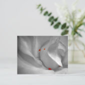 Aeolian Waterverf Briefkaart (Staand voorkant)