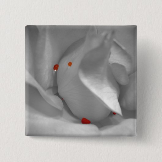 Aeolian Waterverf Button (Voorkant)