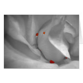 Aeolian Waterverf Card (Voorkant Horizontaal)