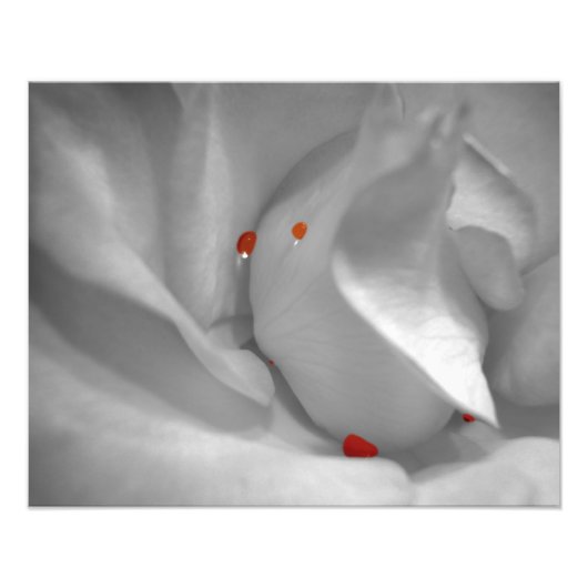 Aeolian Waterverf Foto afdrukken (Voorkant)