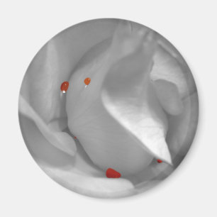 Aeolian Waterverf Magnet