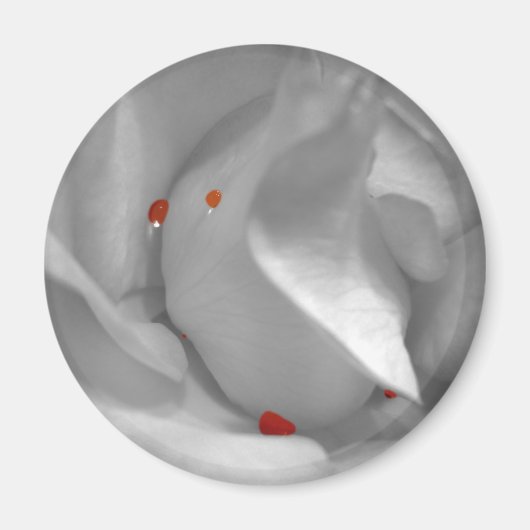 Aeolian Waterverf Magnet (Voorkant)