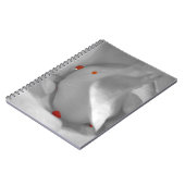 Aeolian Waterverf Notitieboek (Linkerzijde)