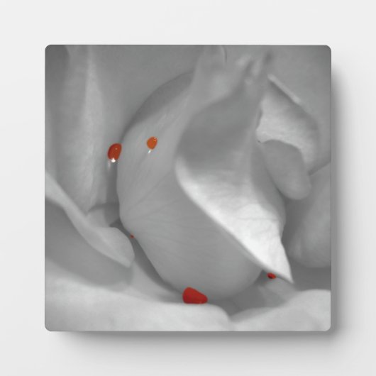 Aeolian Waterverf Plaque Fotoplaat (Voorkant)