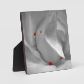 Aeolian Waterverf Plaque Fotoplaat (Voorkant)