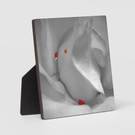 Aeolian Waterverf Plaque Fotoplaat (Voorkant)