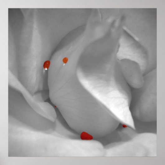 Aeolian Waterverf Print (Voorkant)