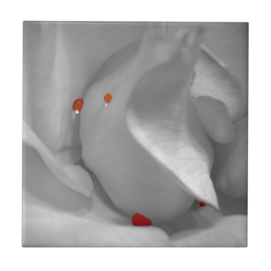 Aëolische Waterverf Decoratieve Tegel Tegeltje (Voorkant)