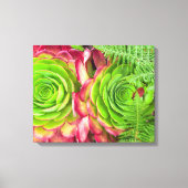 Aeonium Canvas Afdruk (Voorkant)