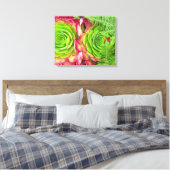 Aeonium Canvas Afdruk (Insitu (Slaapkamer))
