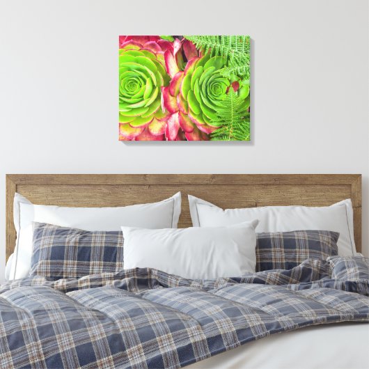 Aeonium Canvas Afdruk (Insitu (Slaapkamer))