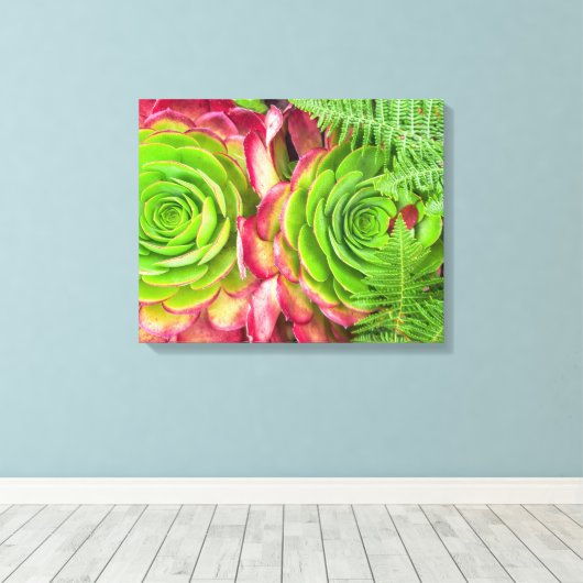 Aeonium Canvas Afdruk (Insitu (Houten vloer))