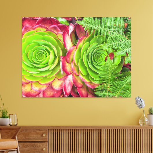 Aeonium Canvas Afdruk (Insitu (Woonkamer))