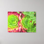 Aeonium Canvas Afdruk (Voorkant)