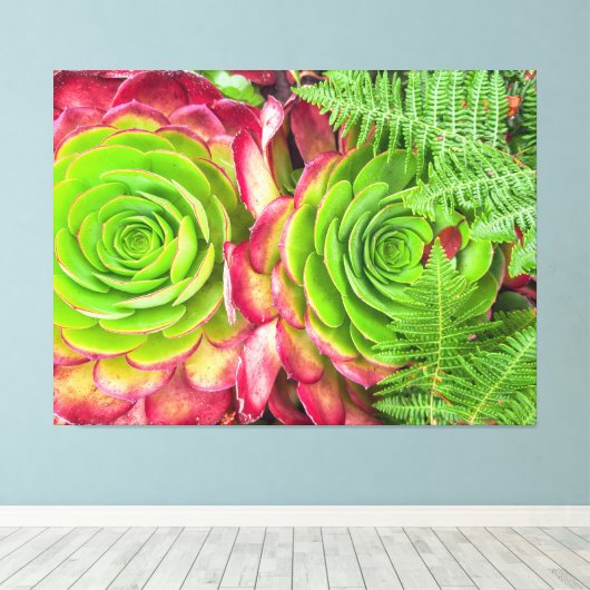 Aeonium Canvas Afdruk (Insitu (Houten vloer))