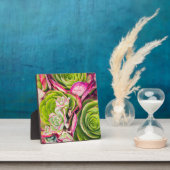 Aeonium Fotoplaat (Insitu)