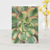 Aeonium 'Sunburst'-kaart Kaart (Gele Bloem)