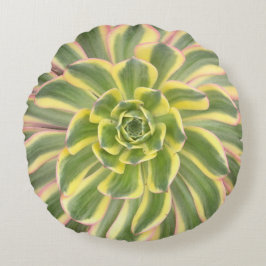 Aeonium "Sunburst" Succulent Sierkussen Rond Kussen