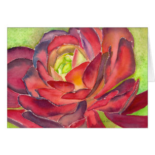 Aeonium waterverf card van Debra Lee Baldwin