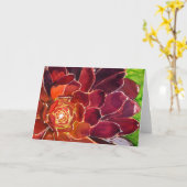 Aeonium waterverf kaart (Gele Bloem)