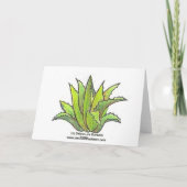 Aeonium-wenskaart Kaart (Achterkant)