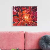 Aeonium 'Zwartkop' Waterverf Canvas Afdruk (Insitu (Woonkamer))