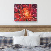 Aeonium 'Zwartkop' Waterverf Canvas Afdruk (Insitu (Slaapkamer))