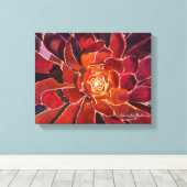 Aeonium 'Zwartkop' Waterverf Canvas Afdruk (Insitu (Houten vloer))