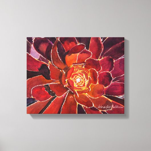 Aeonium 'Zwartkop' Waterverf Canvas Afdruk (Voorkant)