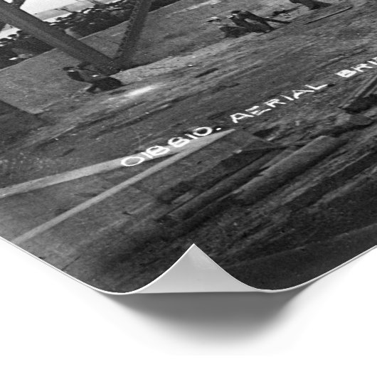 Aerial Bridge Duluth Minnesota Poster (Hoek)