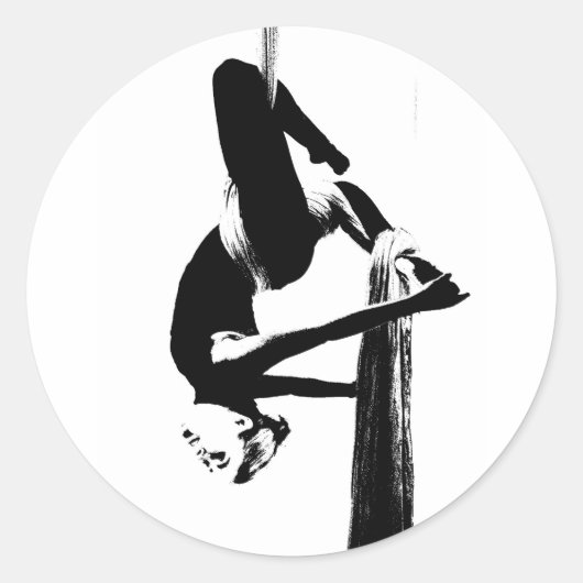 Aerial Dance Stickers (Voorkant)