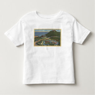 Aerial of Bernheimer's Oriental Garden Kinder Shirts