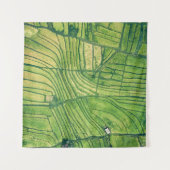 Aerial photography of green farm field wandkleed (Voorkant (horizontaal))