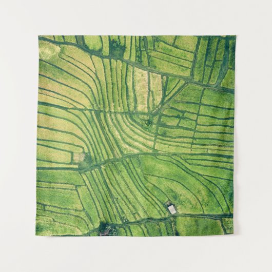 Aerial photography of green farm field wandkleed (Voorkant (horizontaal))