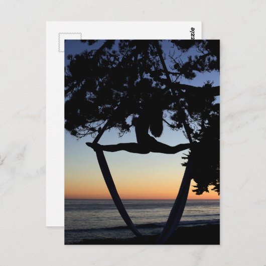 Aerial Silk Silhouette Briefkaart (Voorkant / Achterkant)