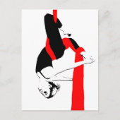 Aerial Silks Dancer Gemini Pose Briefkaart (Voorkant)
