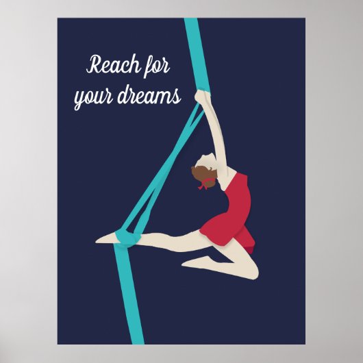 Aerial Silks Poster (Voorkant)
