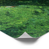 Aerial View of Russian River at Camp Rose Poster (Hoek)