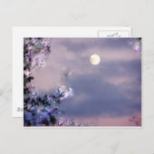 Aerial's Gift Briefkaart (Voorkant / Achterkant)