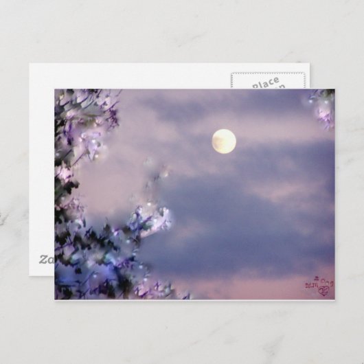 Aerial's Gift Briefkaart (Voorkant / Achterkant)