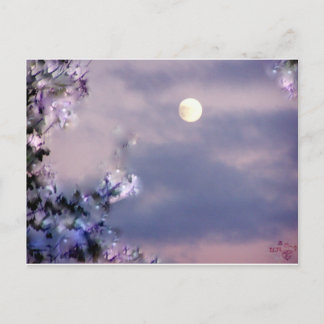 Aerial's Gift Briefkaart