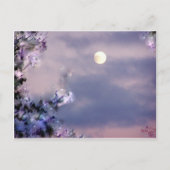 Aerial's Gift Briefkaart (Voorkant)