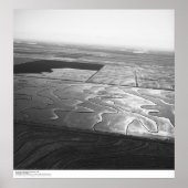 Aerials, Sacramento Valley, Rice fields, mei 1966 Poster (Voorkant)