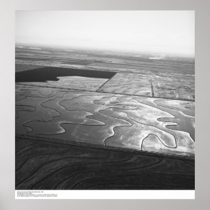 Aerials, Sacramento Valley, Rice fields, mei 1966 Poster