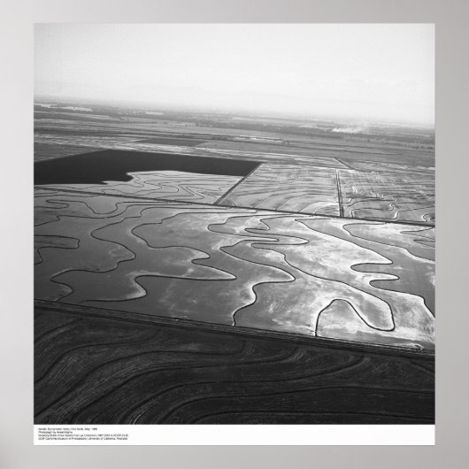 Aerials, Sacramento Valley, Rice fields, mei 1966 Poster (Voorkant)