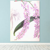 Aerides Lobbii  Lila Lindenia Orchid Canvas Afdruk (Insitu (Houten vloer))
