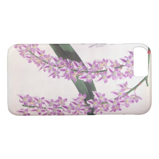 Aerides Lobbii  Lila Lindenia Orchid Case-Mate iPhone Case (Achterkant (Horizontaal))